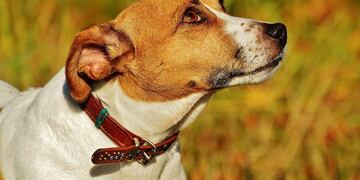 Foto ilustrativa\u002E (Web)