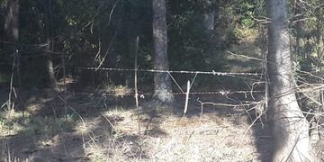 Toman terrenos del Parque Ecológico de La Plata