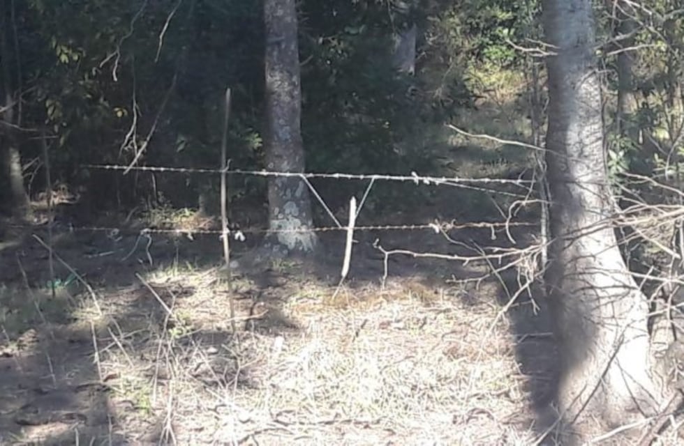 Usurpaciones en La Plata: impiden la toma ilegal de tierras en San Carlos