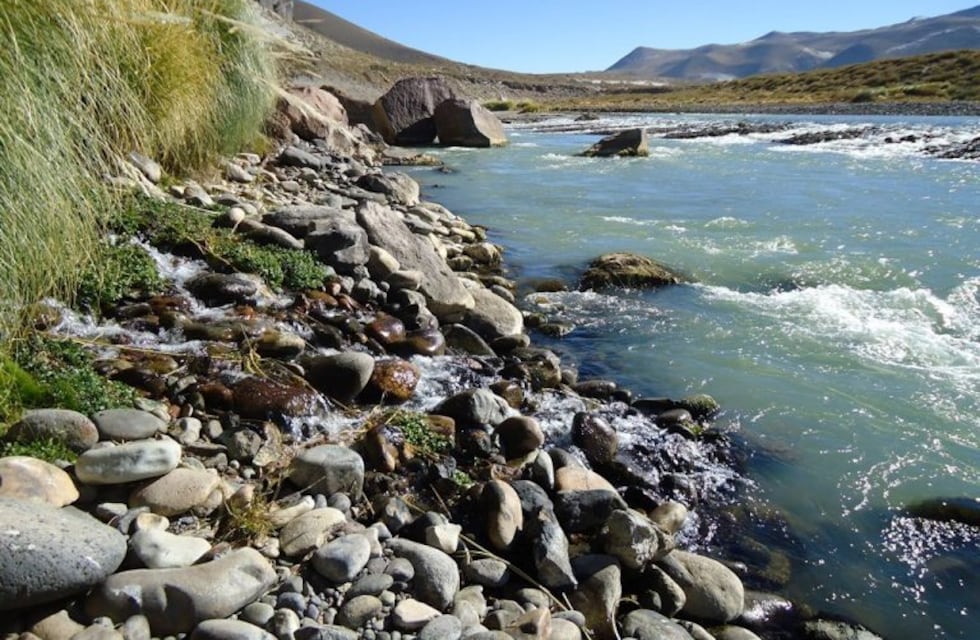 Video: Agustín cruza el río Grande para buscar la tarea de la escuela