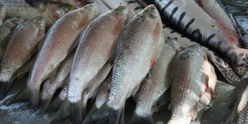 pescado Semana Santa