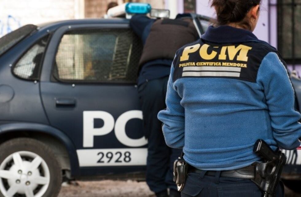 Maipú: robaron cinco millones de pesos en semillas de hortalizas