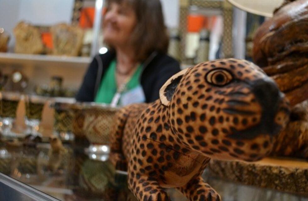 Artesanos de Iguazú quieren volver a trabajar y gestionan ayuda