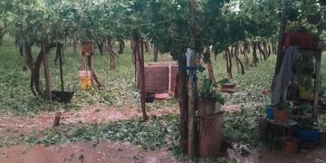 Emergencia agropecuaria en La Rioja