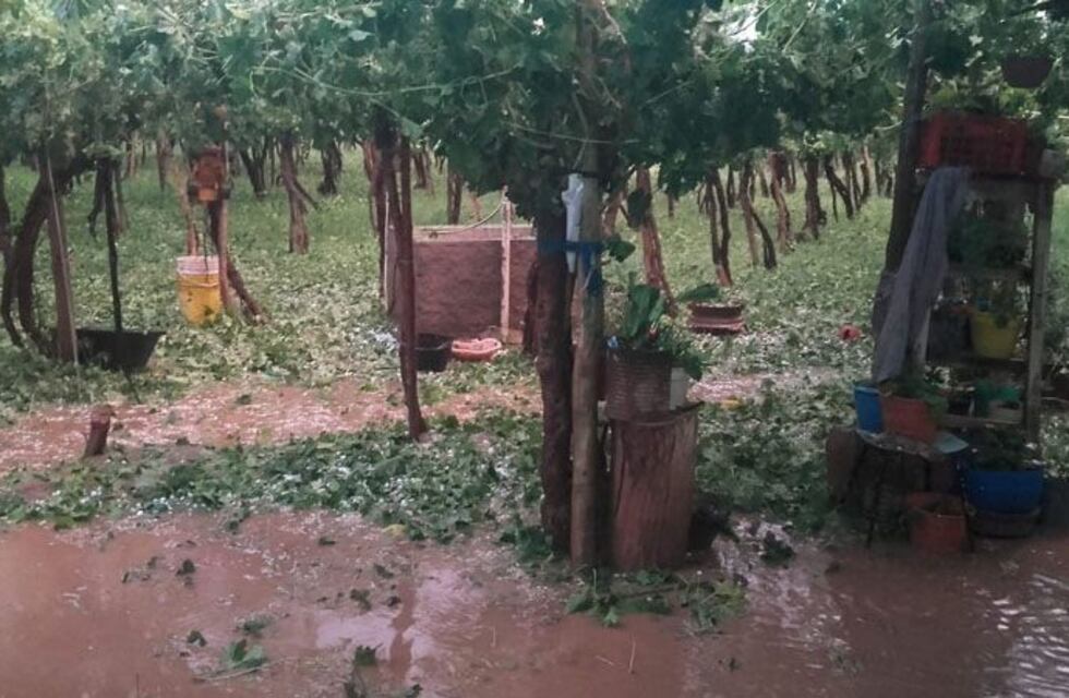 La Nación declaró en estado de emergencia agropecuaria a La Rioja