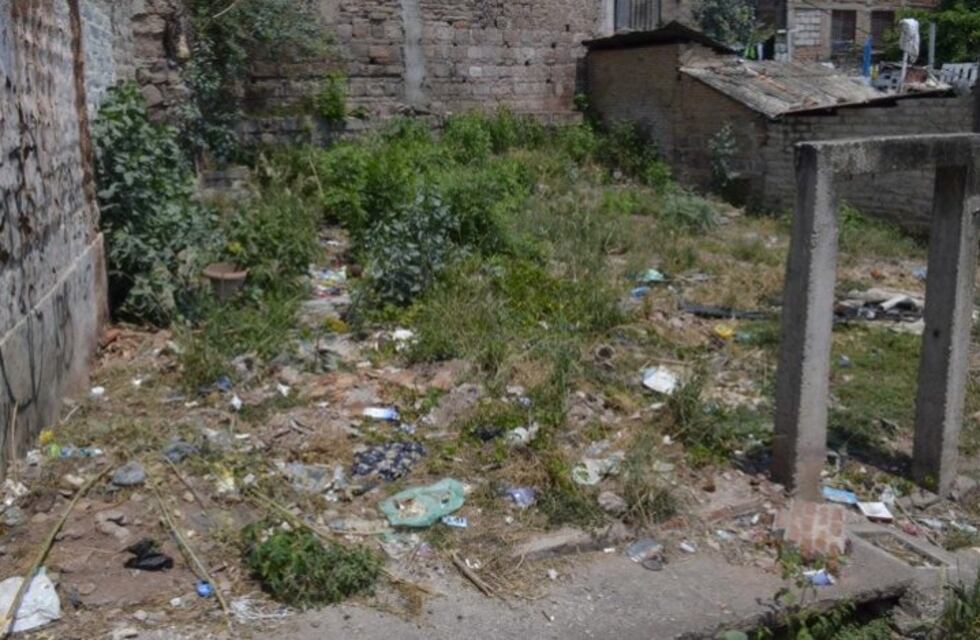 Endurecen sanciones a dueños de baldíos abandonados