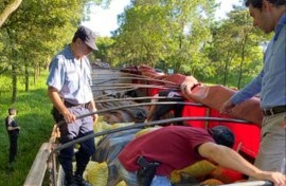 La Policía de Misiones incautó un cargamento millonario de droga en Motecarlo