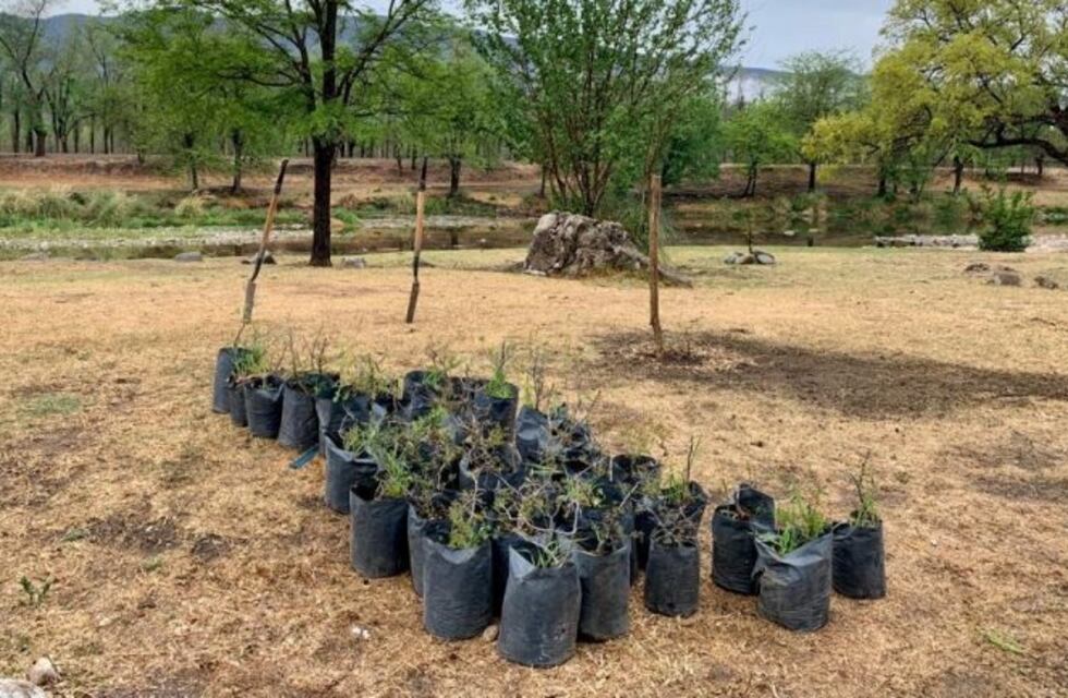 Comenzó el Plan Provincial Remediación por Incendios, y se entregaron 3 mil plantas para distintas localidades de Punilla