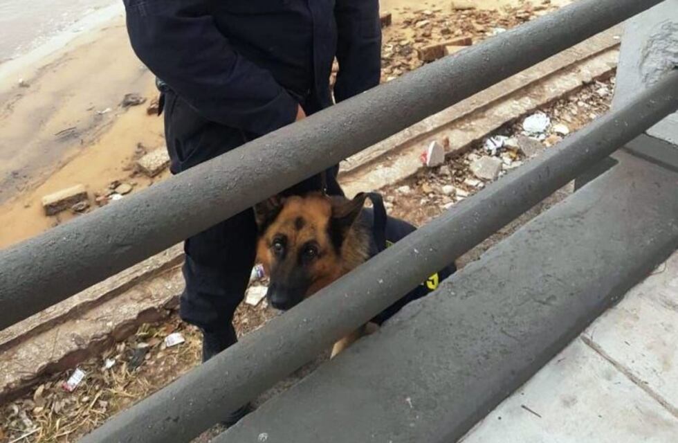 Perra policía alertó sobre un cuerpo sin vida en costanera correntina