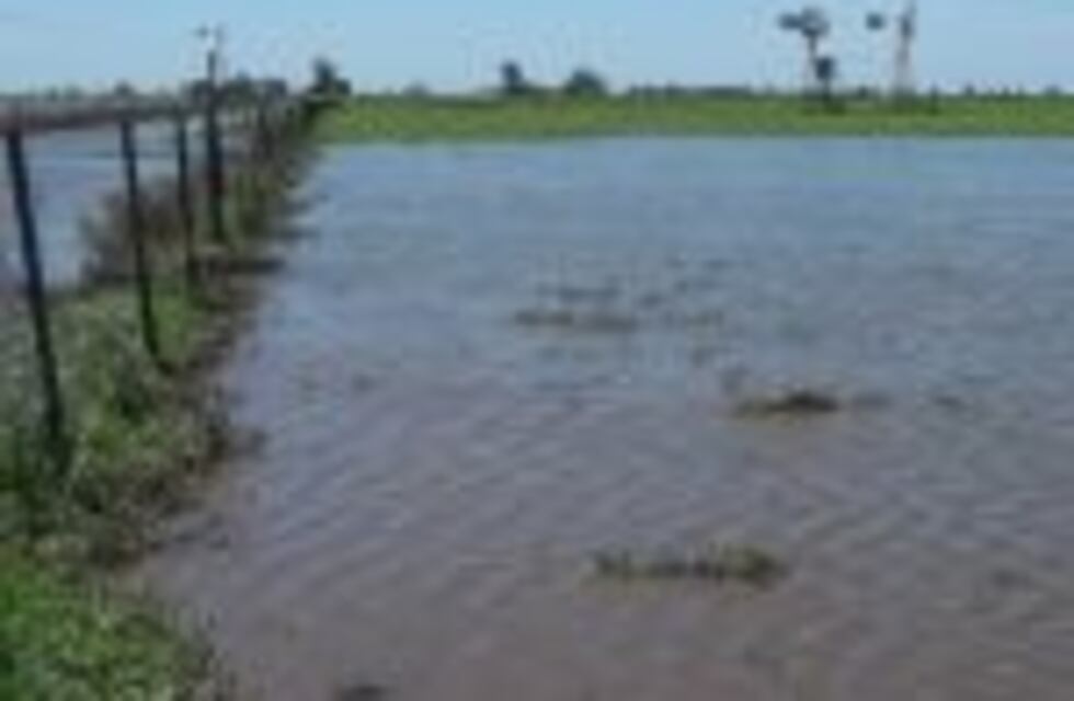 15 millones en créditos para productores