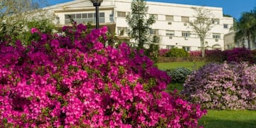 Centro medico Vida Sana\u002E