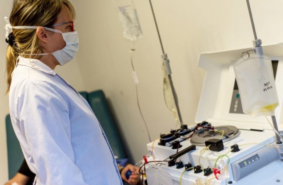 En Neuquén más de 200 personas con COVID-19 fueron tratadas con plasma