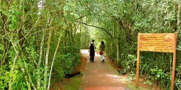 El sendero ya se encuentra disponible para los visitantes del Parque Nacional Iguazú\u002E