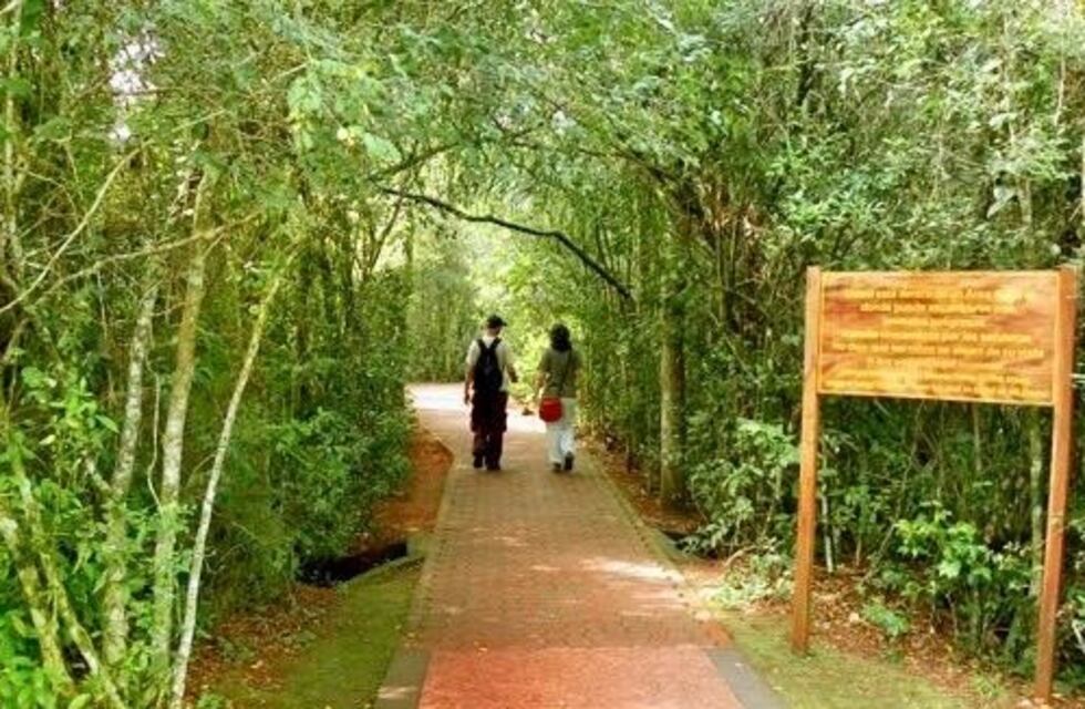Habilitaron el sendero de Cataratas del Iguazú donde apareció un puma
