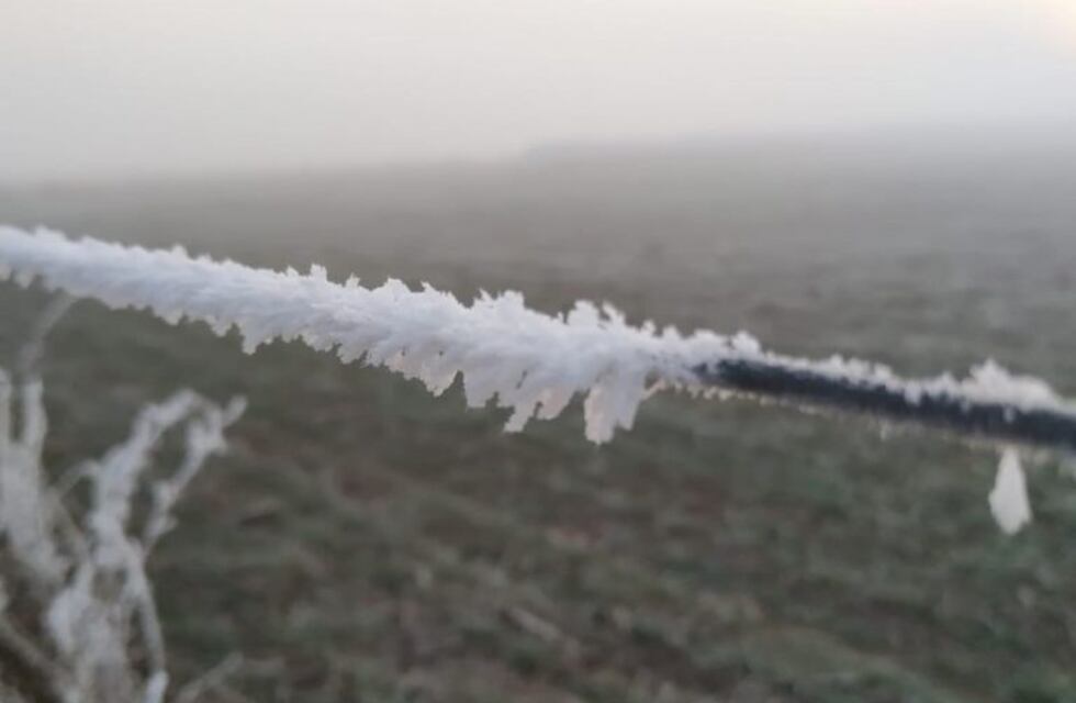 Arroyito amaneció cubierto por una capa blanca