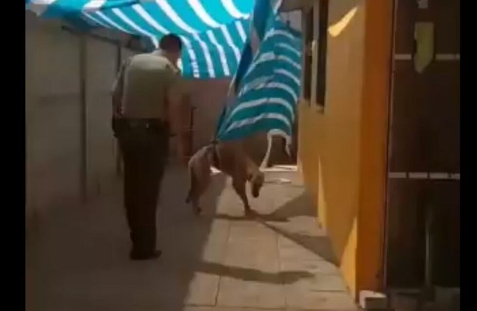 Viral: el emotivo abrazo de un perro al policía que acaba de salvarlo de un aprieto