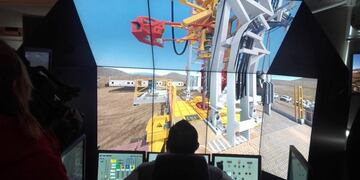 Cibersimulador de PAE