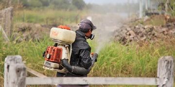 Tareas de fumigación en la ciudad de Santa Fe\u002E (@santafeciudad)