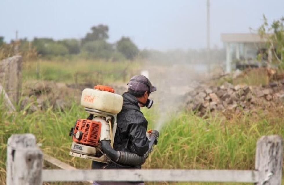 Redoblan esfuerzos para fumigar barrios de Santa Fe y prevenir el dengue