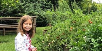 (Instagram/@juliana\u002Eawada)