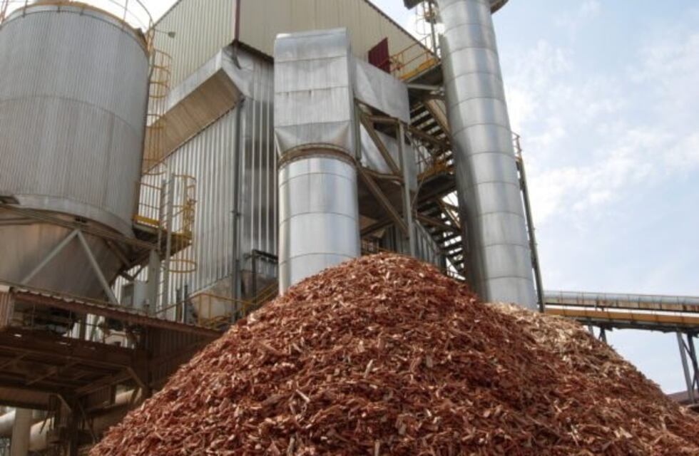 Avanza el proyecto de una central térmica de generación por biomasa