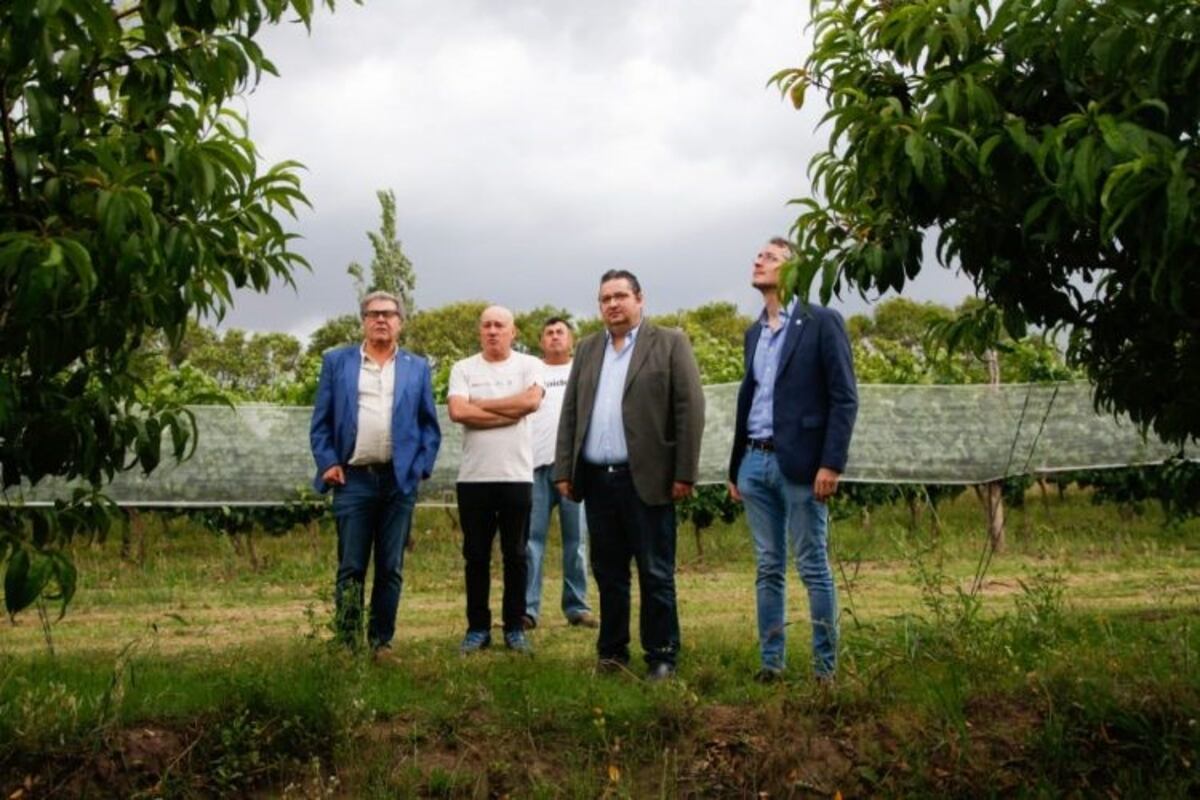 Mallas antigranizo en Colonia Caroya (Prensa Municipio)