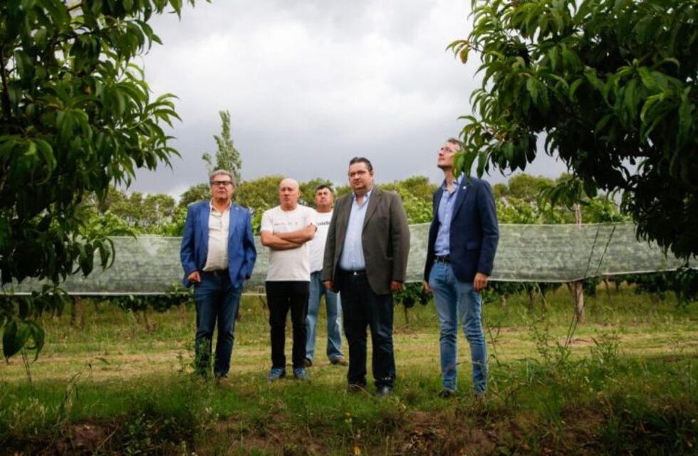 Colonia Caroya: entregaron más de 11 millones para mallas antigranizo