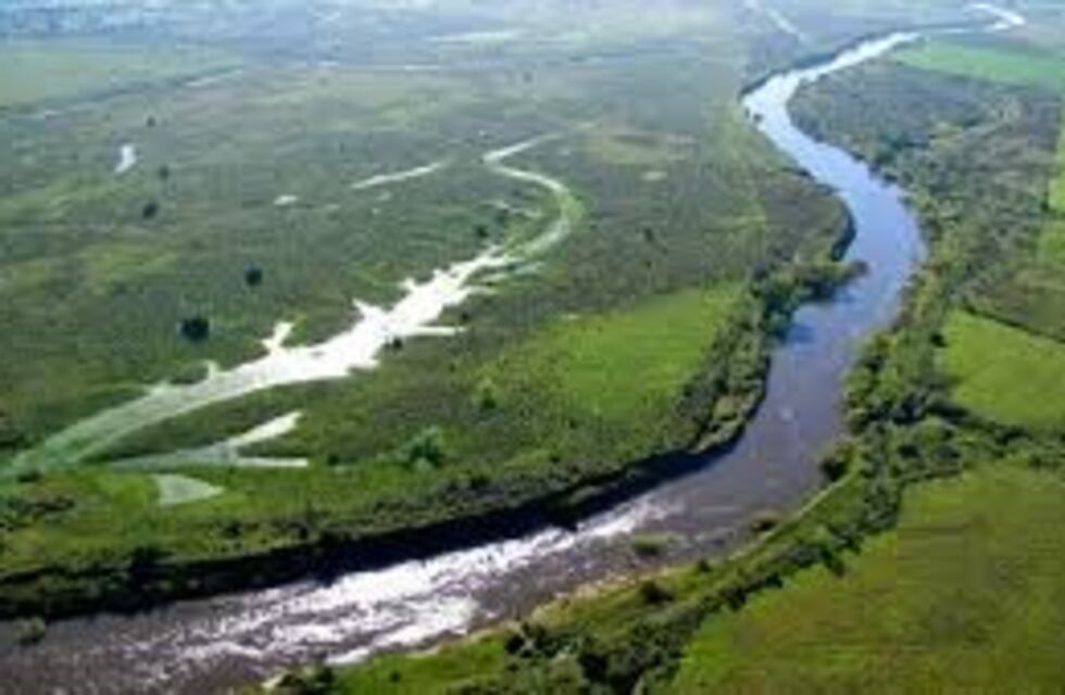 Botnia: peligra la instalación de la nueva planta de pasta Celulosa