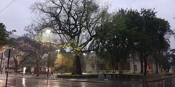 La ciudad amaneció pasada por agua en el cierre del fin de semana.
