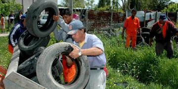 Dengue, zika y chikungunya: inició la campaña preventiva