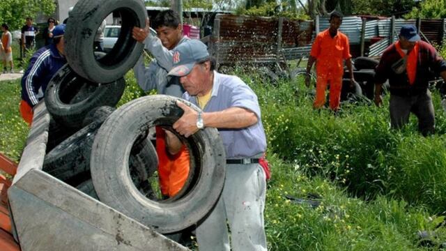 Dengue, zika y chikungunya: inició la campaña preventiva