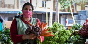 Semana de la Agroecología para la producción sin agroquímicos en Misiones\u002E