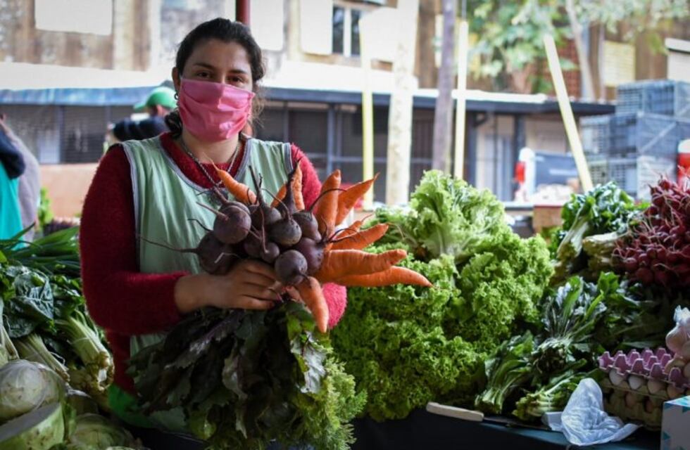 Transmiten charlas de la Semana de la Agroecología para producir sin agroquímicos