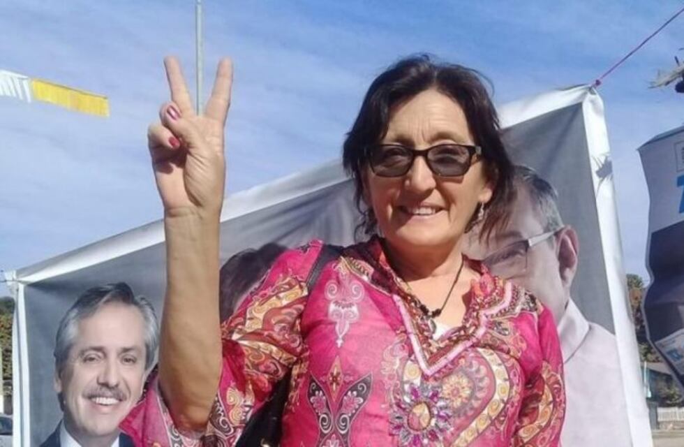 Confirman que Alcira Figueroa remplazará a Ameri en el Congreso Nacional