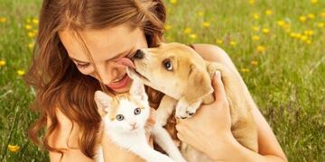 Las personas con mascotas tuvieron mejor salud mental durante el aislamiento\u002E