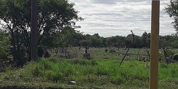 Un día después del desalojo, volvieron a usurpar el predio del Ejército