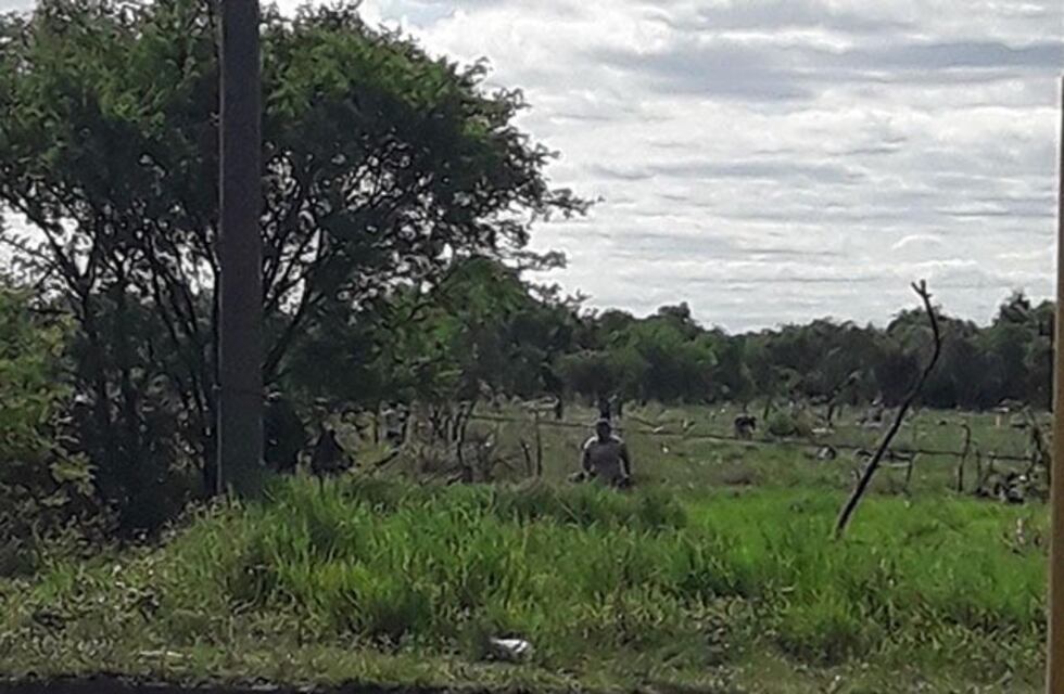 Un día después del desalojo, volvieron a usurpar el predio del Ejército