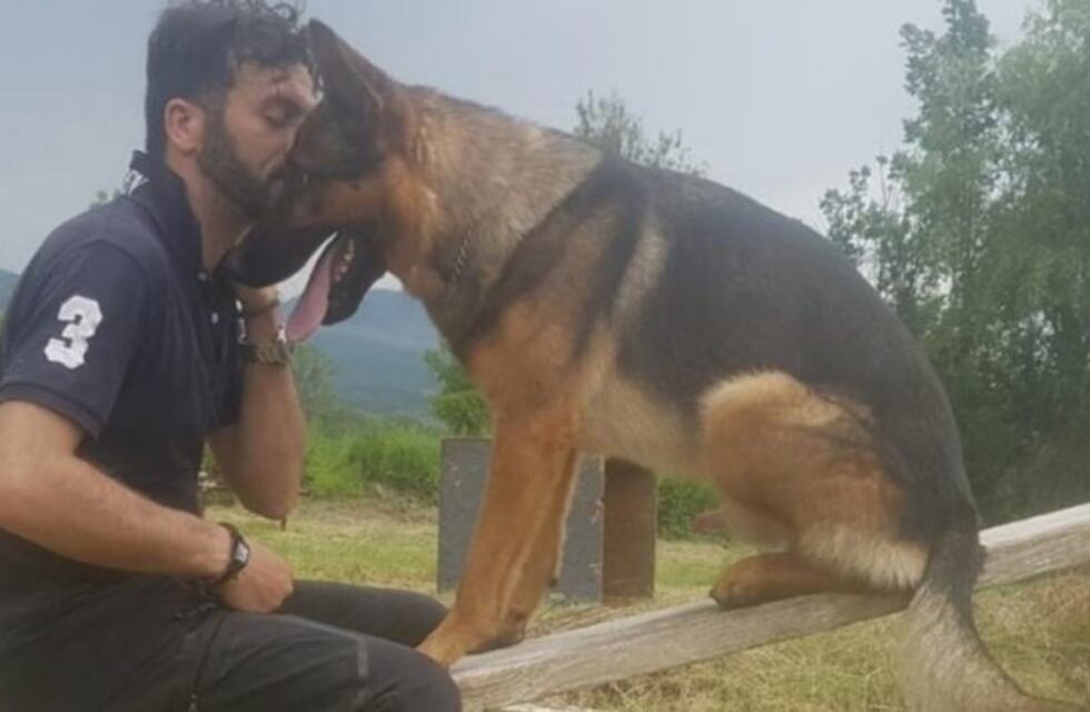 Murió envenenado "Kaos", el perro héroe del sismo que sacudió a Italia en 2016