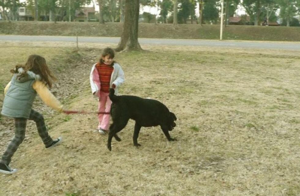 El Móvil de castración en Solares