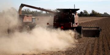 FILE PHOTO: Soybean plants are harvested at a field in the city of Chacabuco, April 24, 2013\u002E REUTERS/Enrique Marcarian/File Photo    cosecha soja - cosecha de soja