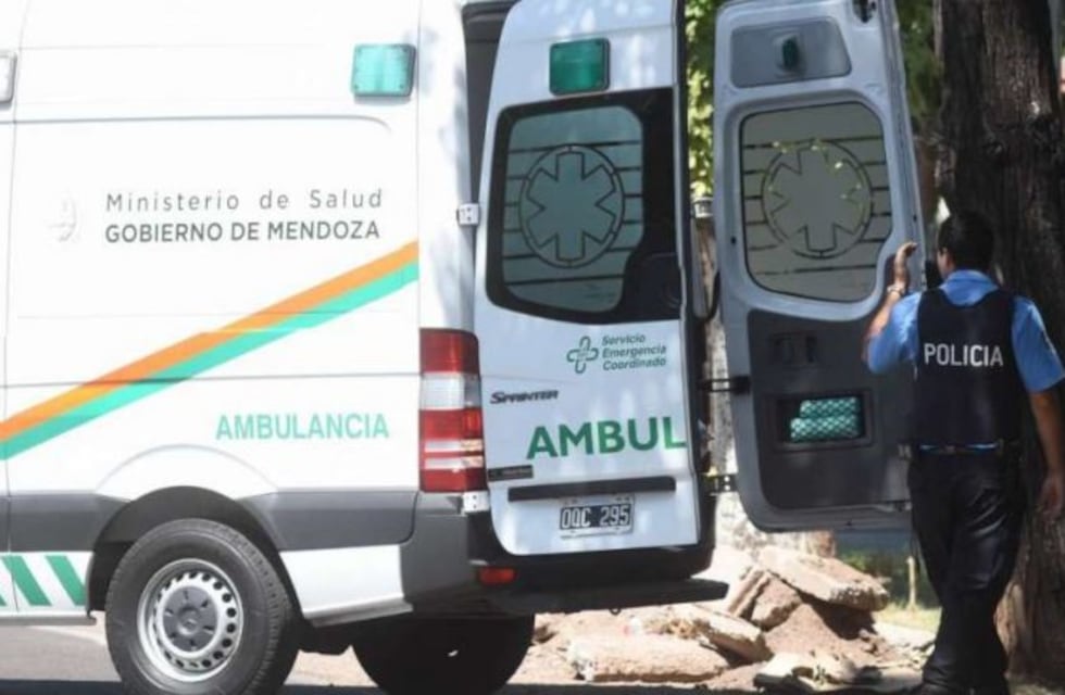 Chocó contra un árbol y murió en San Rafael
