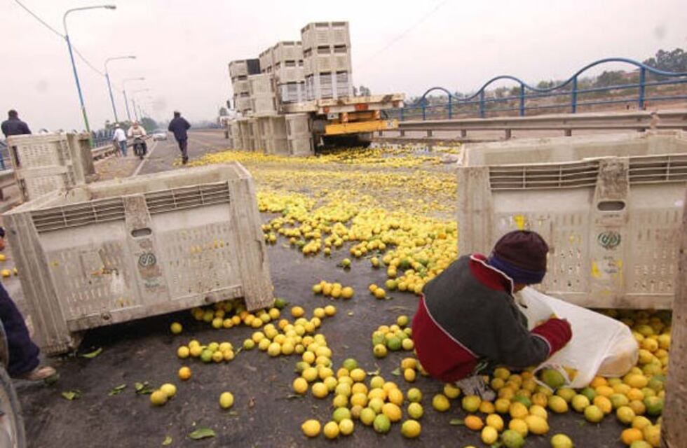 Un camión que transportaba limones, volcó y perdió parte de su carga