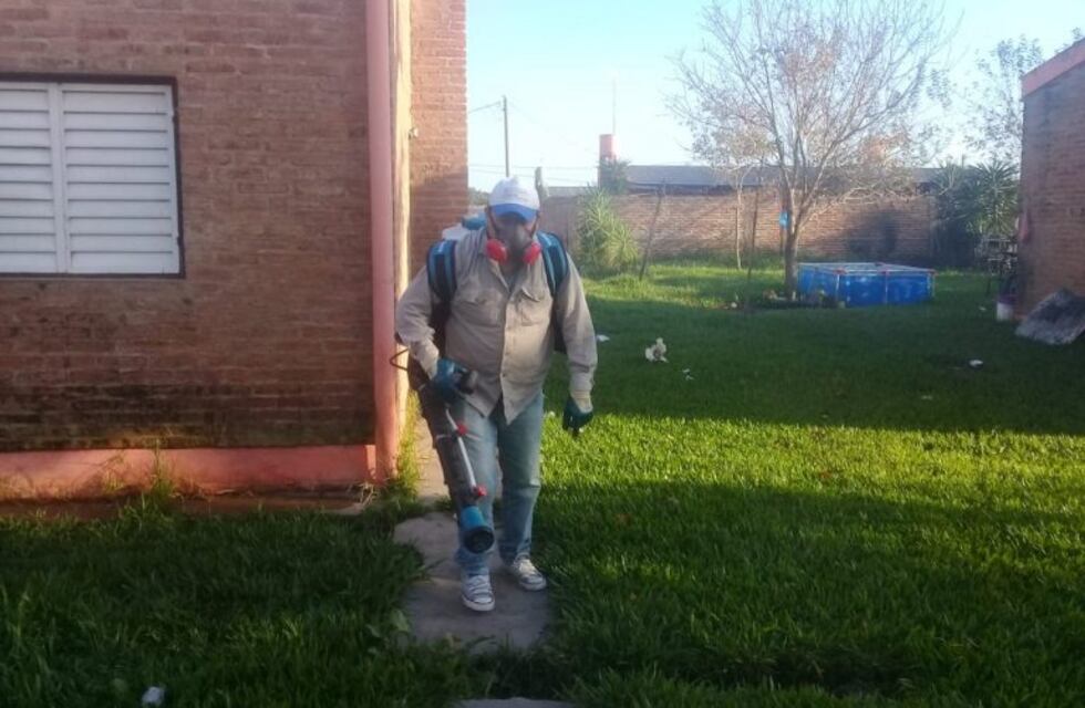 Dengue: con 11 casos confirmado y 93 probables, refuerzan tareas de prevención