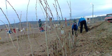 plan de forestacion de vecinos del barrio Bicentenario