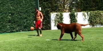 Lionel Messi volvió loco a su perro gigante y Antonela Roccuzzo lo compartió en Instagram\u002E Foto: Instagram/antoroccuzzo88