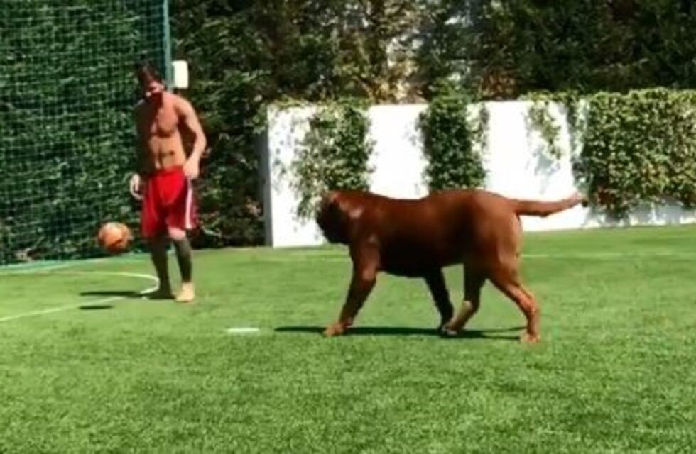 Furor por el video de Messi enloqueciendo a su perro haciendo jueguitos