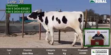 Remate on line de la Guillermo Lehmann