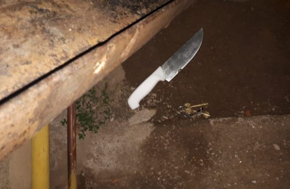 Amenazó con un cuchillo de carnicero a su pareja y lo detuvieron