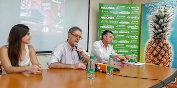 La 16° Fiesta Provincial de la Ananá se realizará este sábado