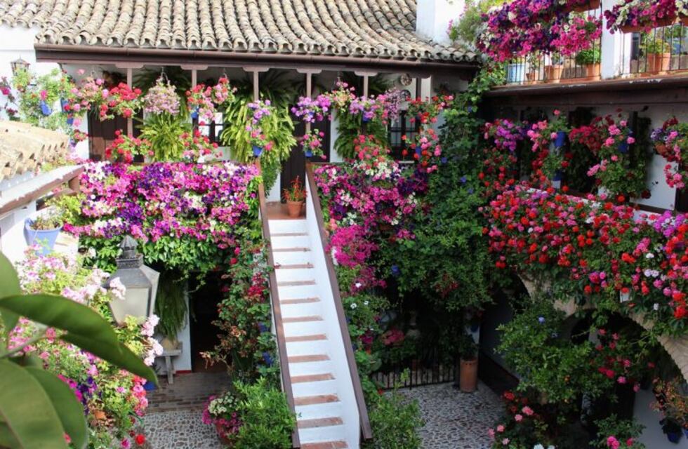 El original festejo de la primavera del Museo López Claro